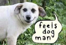feels_dog_man.jpg