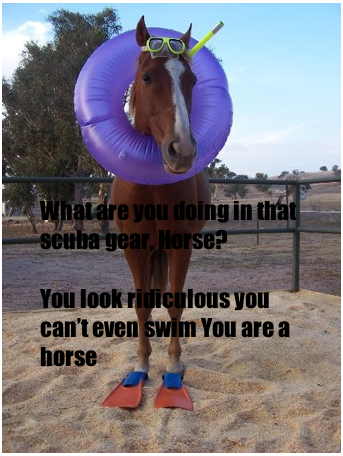 Picture_1.png