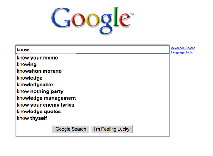 Google Search Box Suggestions 