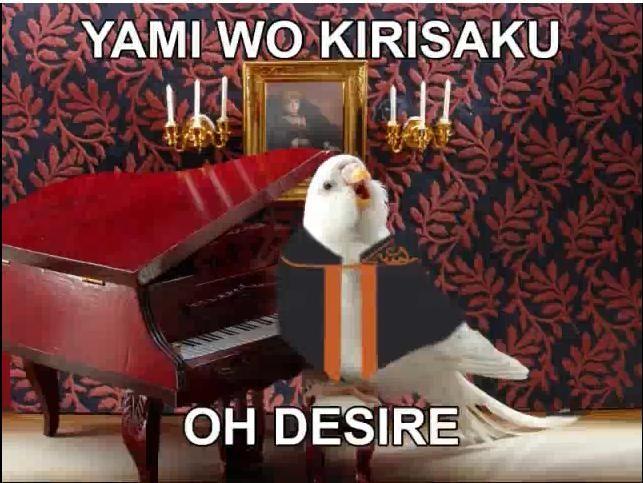 bird.JPG