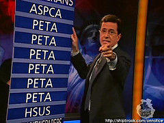 4116916050_e1af284ff4_m.jpg
