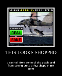 This Looks Shopped
