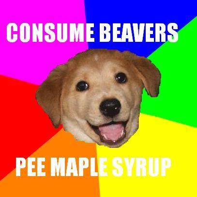 Advice_Dog_Maple_Syrup.JPG