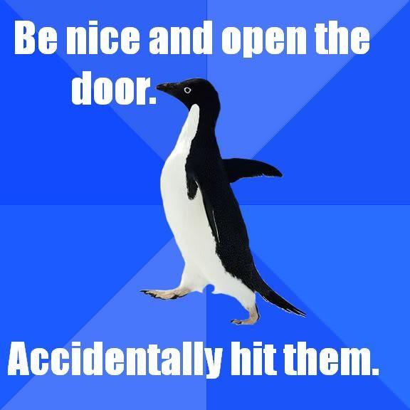 Socially Awkward Penguin