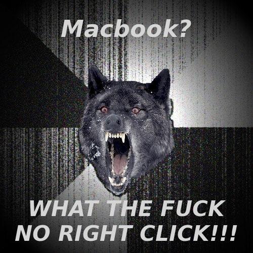 Macbook_Insanity_Wolf.jpg
