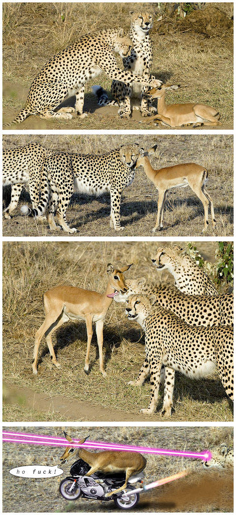 hofuck_impala_bydirtstarr.jpg