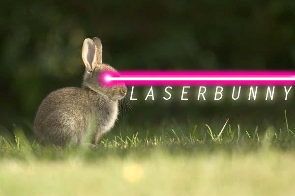 laserbunny_6.jpg