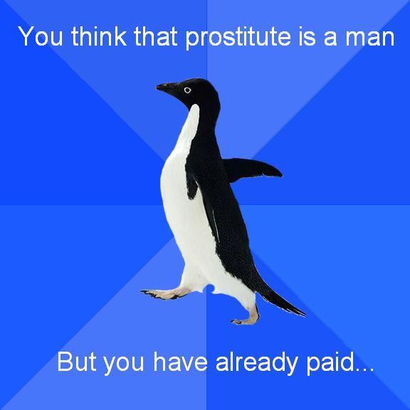Socially Awkward Penguin