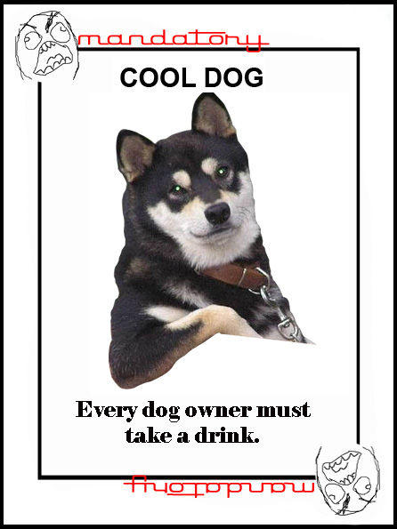 Cool Dog