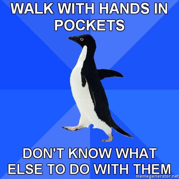 Socially Awkward Penguin