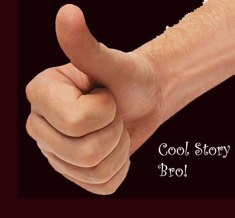 Cool-Story-Bro.gif