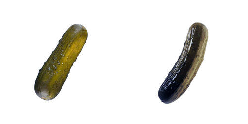 picklevspickle20110724-22047-1h4gu0u.jpg