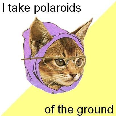 Hipster Kitty