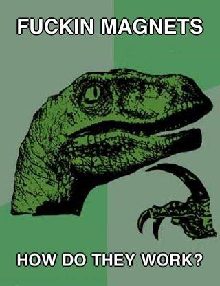 raptor_magnets.jpg