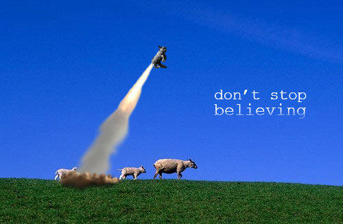 sheep_dontstop.jpg