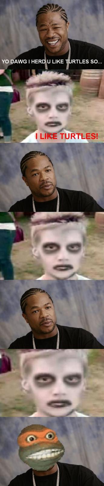 xzibit_turtles.JPG