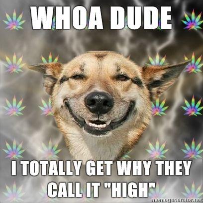 Stoner-Dog-WHOA-DUDE-i-totally-get-why-they-call-it-High.jpg