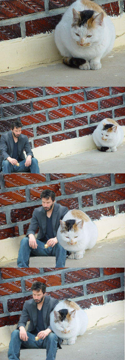tumblr_l3mle0bYnh1qzi6sbo1_1280.jpg