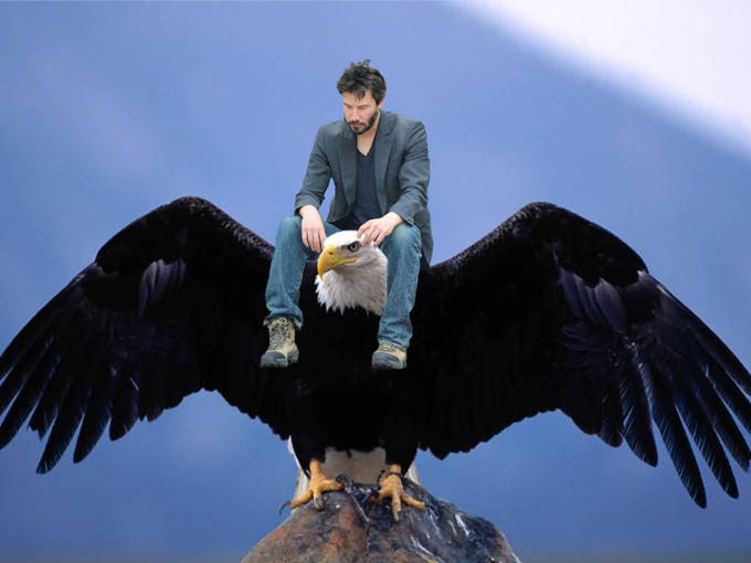 keanu-eagle.jpg