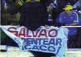 macaco7yn20110724-22047-1ckk3o0.jpg