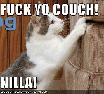 fuckyocouch128594185143576086.jpg