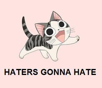 haters_gonna_hate.jpg