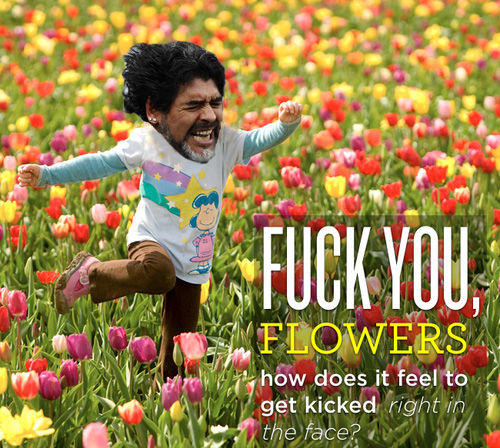 fuckflowers.jpg