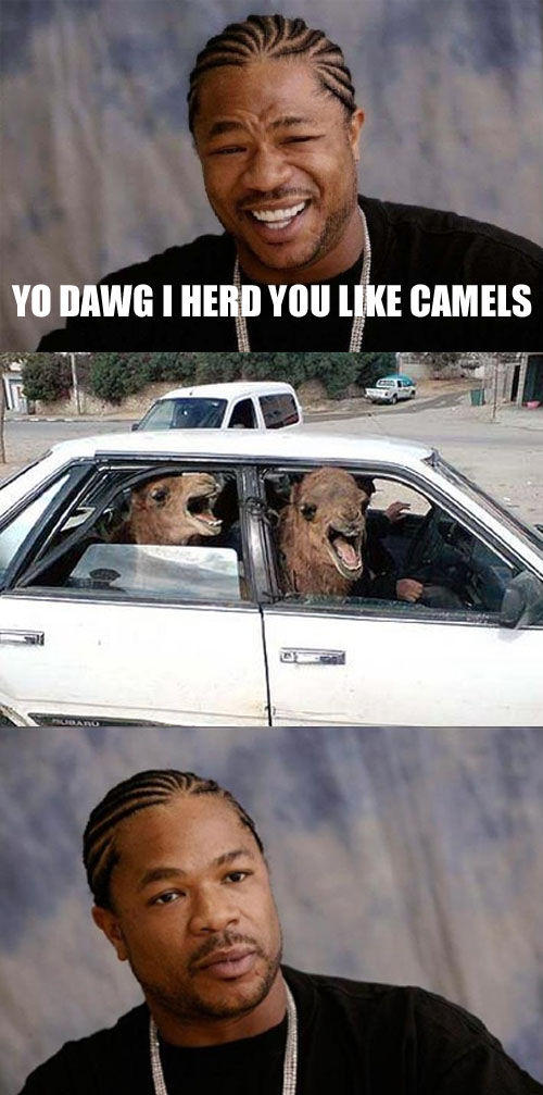 YoDawgCamm.jpg