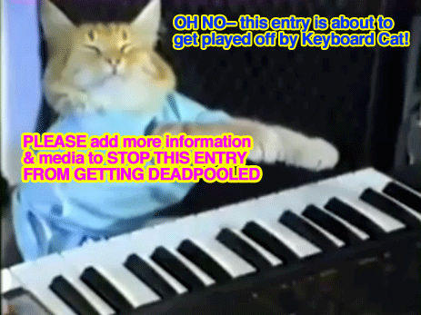 keyboardcat.jpg