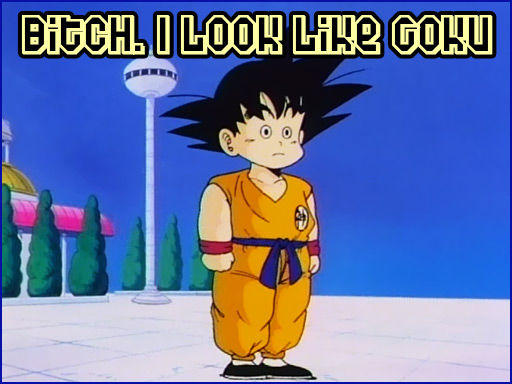 bitch_i_look_like_goku_01.jpg