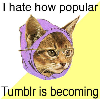 Hipster Kitty