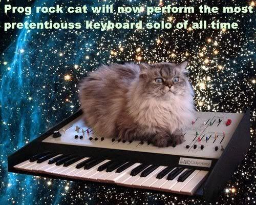 Cat-CatOnKeyboardProgRockcat.jpg