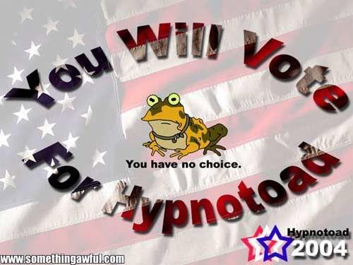 votetoad.jpg