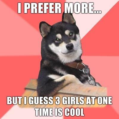 Cool Dog