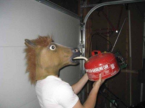 nfNeT7YvTo4f5hxxbnsIHXvto1_500.jpg
