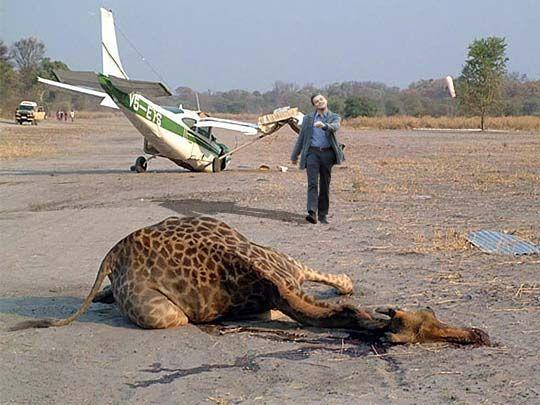plane_crash.jpg