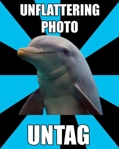 tumblr_l7cvucn6Yf1qdoozso1_400.jpg