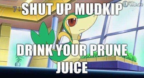 SHUT-UP-MUDKIP-DRINK-YOUR-PRUNE-JUICE.jpg
