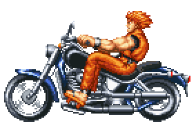 RyoBike_HaohShoKoKen_left.gif