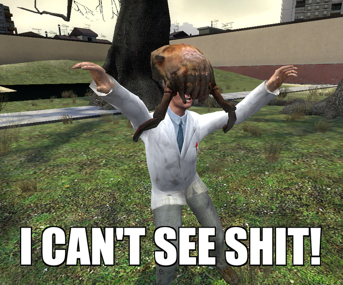 I_CAN__T_SEE_SHIT_by_LupineWarlord.png