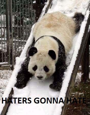 panda-slide.jpg