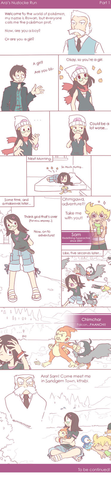 pearl_nuzlocke___01_by_nonparael-d2y2w28.jpg