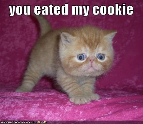 youeatedmy128575224653269086.jpg