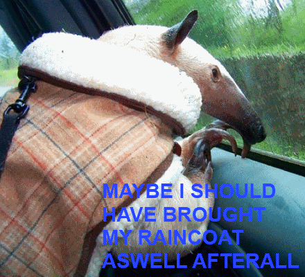 Untitled.gif