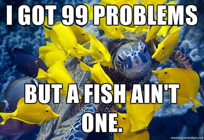 i9tg0.jpg