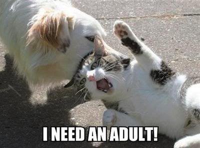 i-need-an-adult-2.jpg