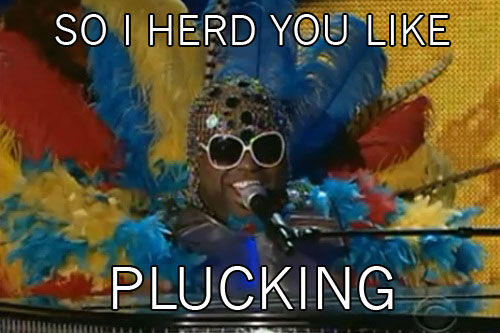 CeeLoherd-you-like-plucking.jpg