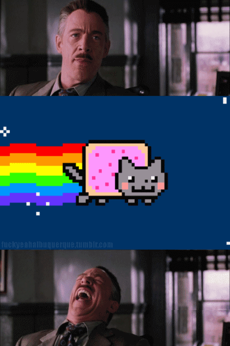 awyeahnaycat.gif