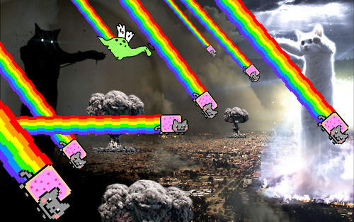tumblr_lk1fyjjQVu1qbqt8go1_500.jpg