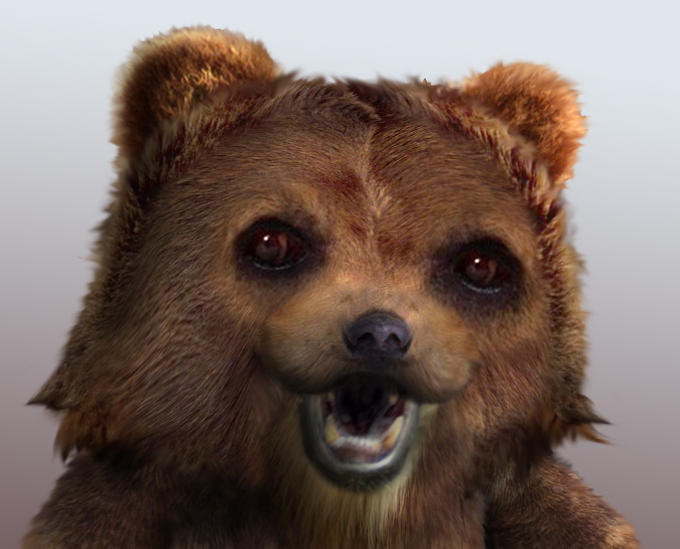 pedobear-realistic.jpg